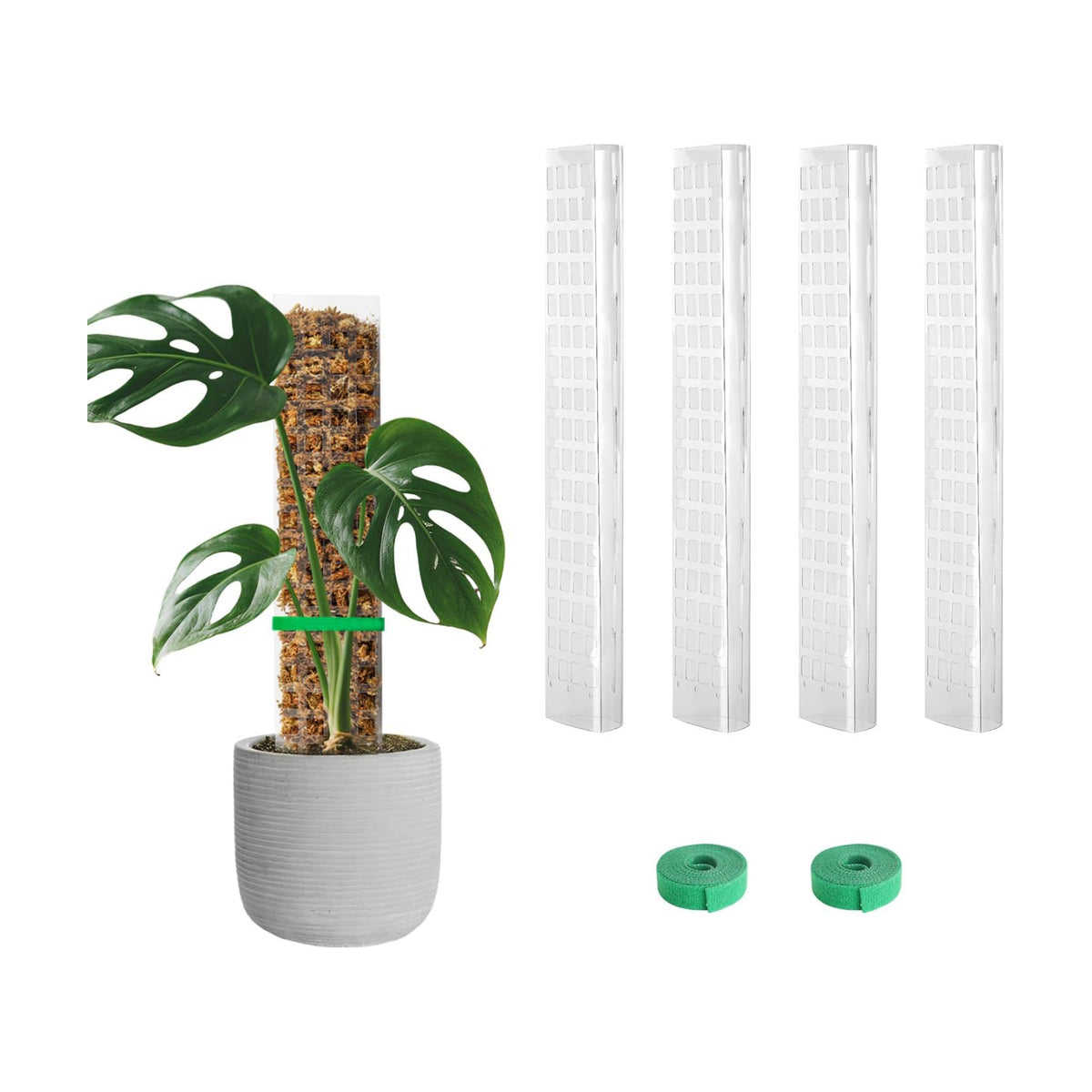 EOX Plastic Moss Pole for Monstera and Climbing Plants, 15-Inch, 4-Pack