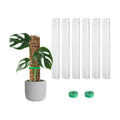 EOX Plastic Moss Pole for Monstera and Climbing Plants, 15-Inch, 6-Pack