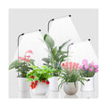 Grow Light for Indoor Plants Growing, 6000K Full Spectrum Gooseneck Plant Lamp for Seedings Succulents Small Plants
