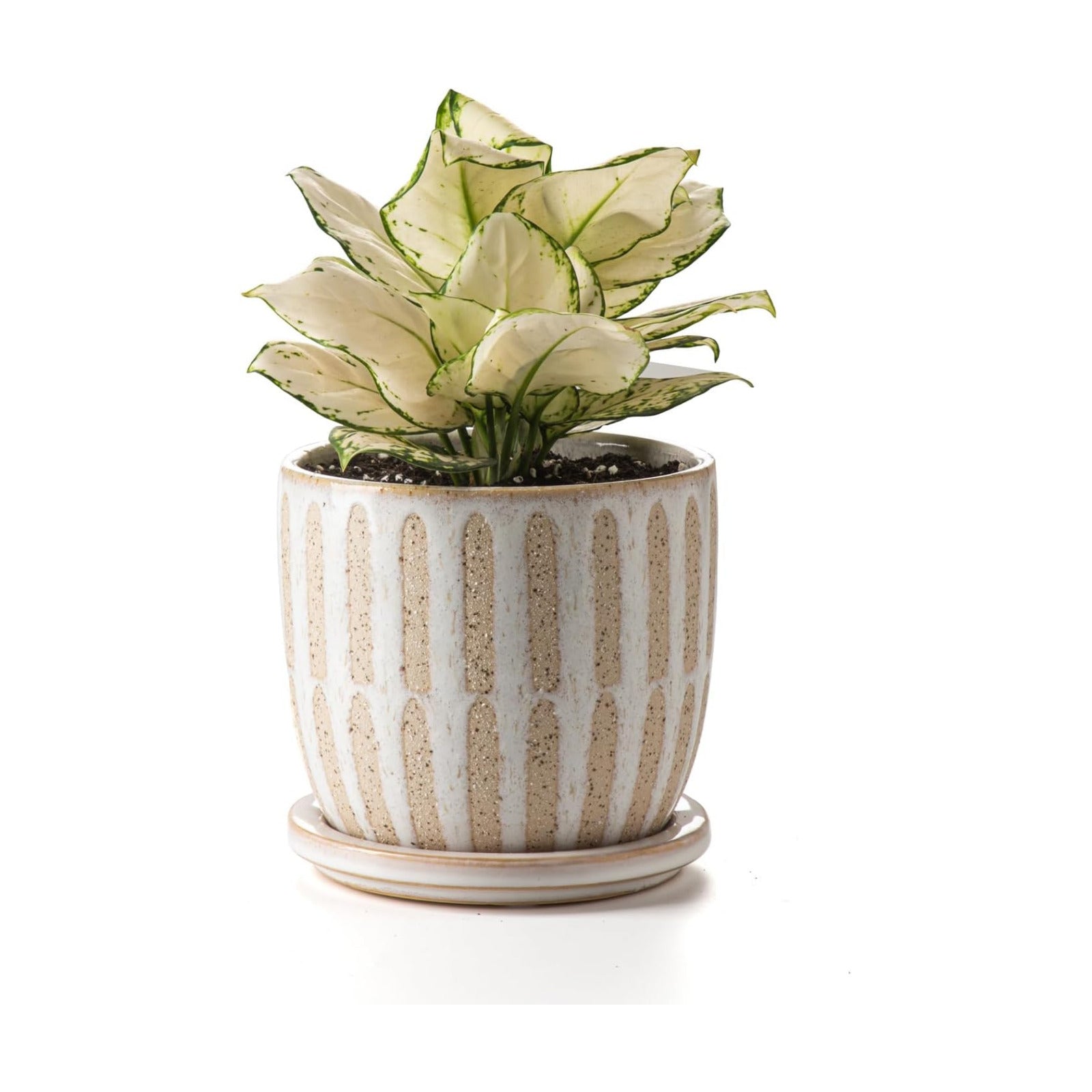 Ceramic Flower Pots Indoor-Outdoor: 5.75 Inch Planters with Drainage Holes & Saucer - Modern Decorative Plant Pots