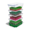 Sprouting Trays - 4-Tier Seed Sprouter with Drain Spout | 4 BPA-free stackable trays with a drain spout for easy home