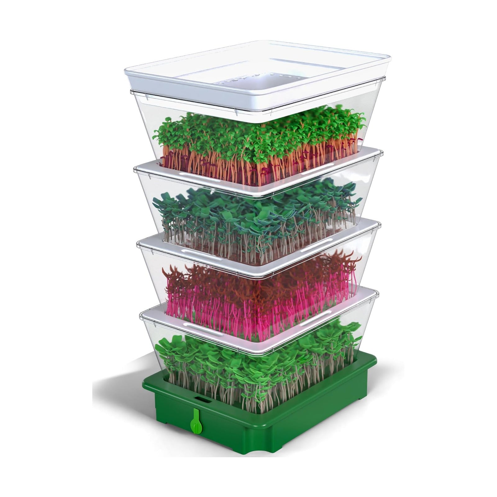 Sprouting Trays - 4-Tier Seed Sprouter with Drain Spout | 4 BPA-free stackable trays with a drain spout for easy home