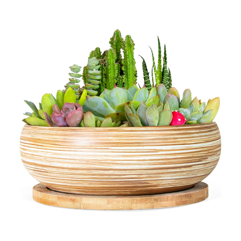 ARTKETTY Succulent Pots - 7.5 Inch Large Plant Pots with Bamboo Tray | Ceramic Bonsai Pots with Drainage, Shallow