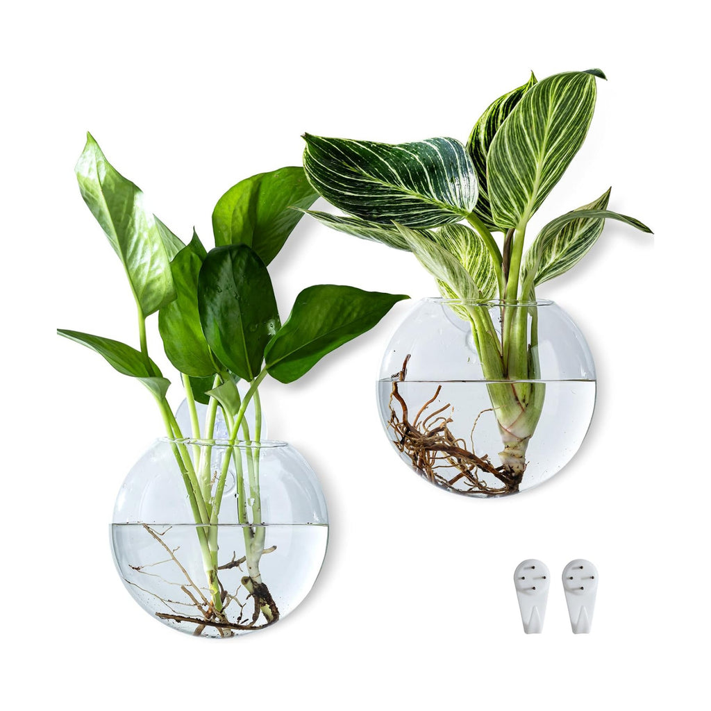 Wall Hanging Planter Propagation Station, Oblate Glass Flower Vase for Propagation, Wall Planter for Indoor Plants, Modern Home Office Corridor Bathroom Decor (2)