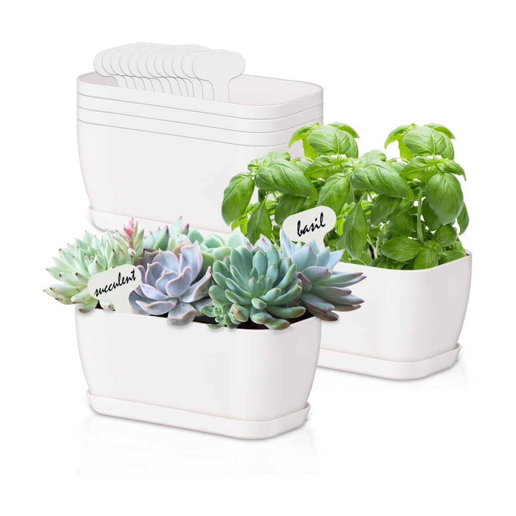Oliz 6 Set Window Herb Planter Box Rectangular, White Plastic Planters with Multiple Drainage Holes and Trays,Indoor Succulent Cactus Mint Flower Pot for Windowsill, Garden Balcony