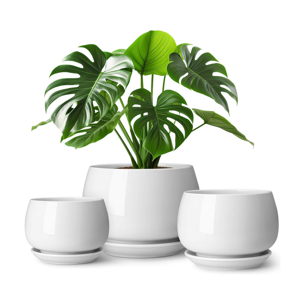 vancasso 3-Pack Ceramic Plant Pots, 3.7/4.8/6.2 Inch Indoor Planters with Saucers & Drainage Hole Planter pots for