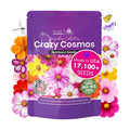 NatureZ Edge, Crazy Cosmos Seeds for 2026, 17,100 Cosmos Seed, 1/4 lb, Made In USA, Annual Cut Flowers, Wildflower