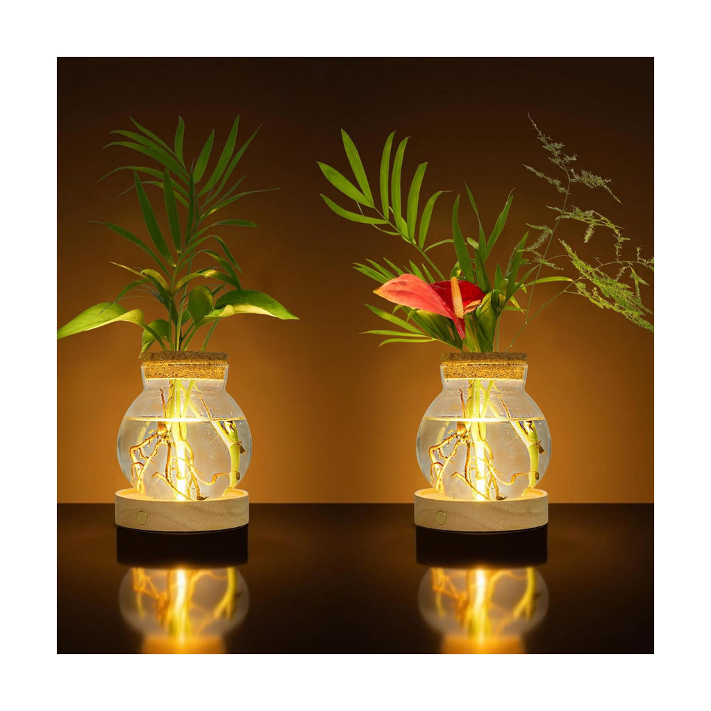 Plant Propagation Station with Wooden Saucer, Glass Terrarium with Stepless Dimming Function Hydroponic Glass Container