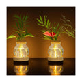 Plant Propagation Station with Wooden Saucer, Glass Terrarium with Stepless Dimming Function Hydroponic Glass Container