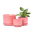 Ceramic Plant Pots,Planters with Drainage Hole&Saucer 3 Pack(Matte Orange) | Ceramic Pots for Plants | Modern Indoor