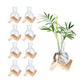Propagation Stations, Propagation vases with Wooden Stand, Small Tabletop Glass Bulb Vases for Hydroponics Plant