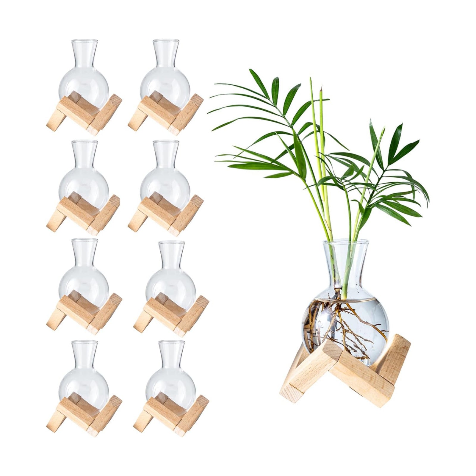 Propagation Stations, Propagation vases with Wooden Stand, Small Tabletop Glass Bulb Vases for Hydroponics Plant
