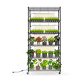 6-Tier Plant Shelf with Grow Light, 35.4x13.8x71in | Grow Light Shelf, Indoor Plant Stand, 5-Pack Full Spectrum Plant