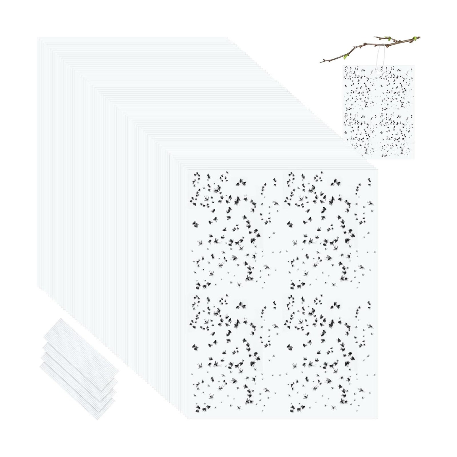 Qualirey 20 Pcs Yellow Sticky Traps 6x8in for Gnats Indoor | Dual-sided for Fungus Gnats Fruit Flies Whiteflies Thrips