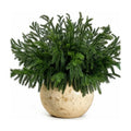12 Bundles Artificial Norfolk Pine Stems, Real Touch Christmas Greenery
