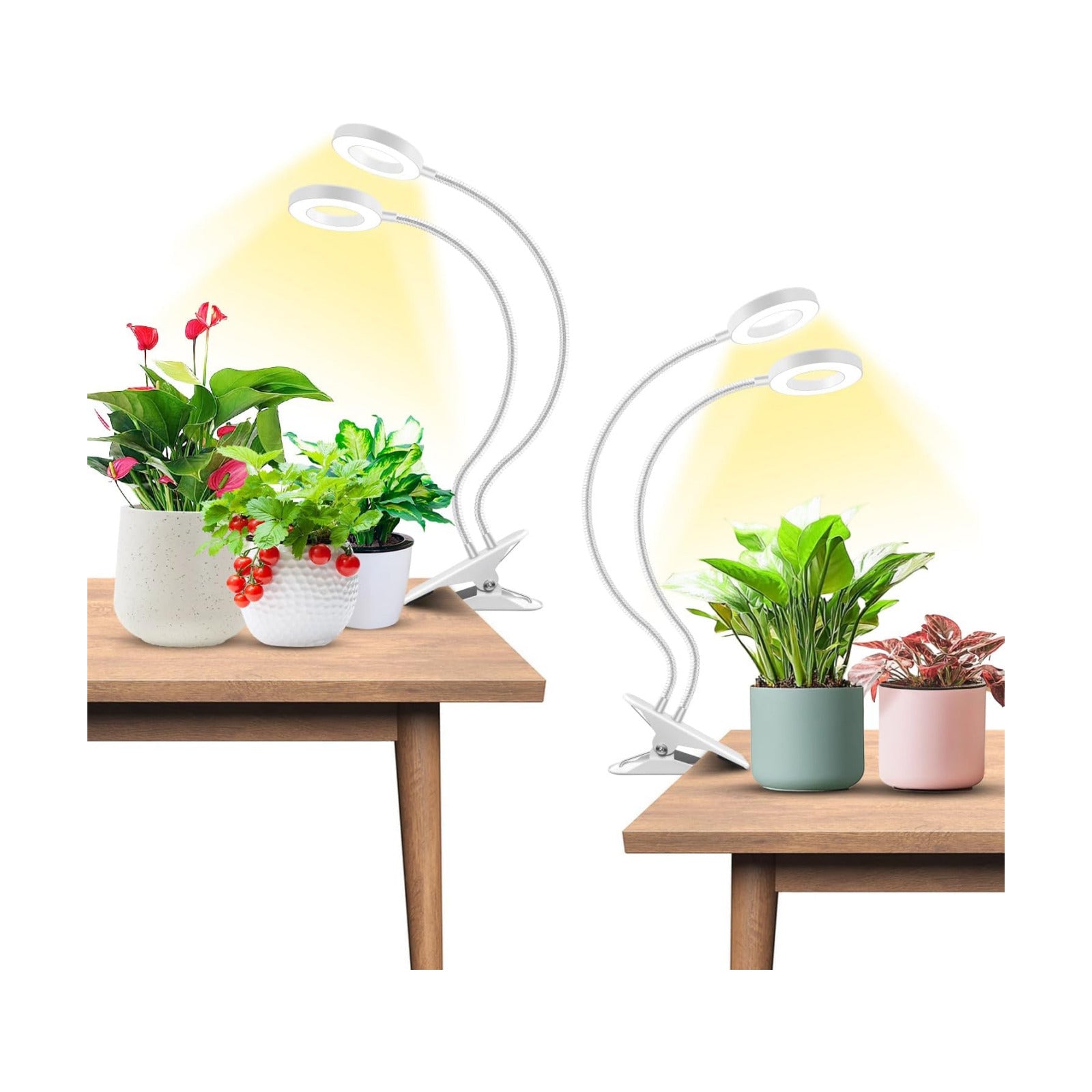 Wiaxulay Plant Grow Light Indoor Growing, 3.5in Clip Full Spectrum 2 Pack | 192 LEDs Halo Plant Lights 6000K+660nm