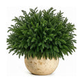 24 Bundles Artificial Norfolk Pine Stems, Real Touch Christmas Greenery