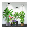 Plant Light, Full Spectrum Grow Light, 65'' Height Adjustable 3Pack | 6000K Grow Light, 3 Colors Modes, 5 Dimmable