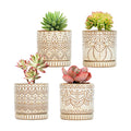 Gepege Ceramic Succulent Pots, 4 Inch Small Plant Pots with Drainage | Ceramic succulent pots with drainage holes