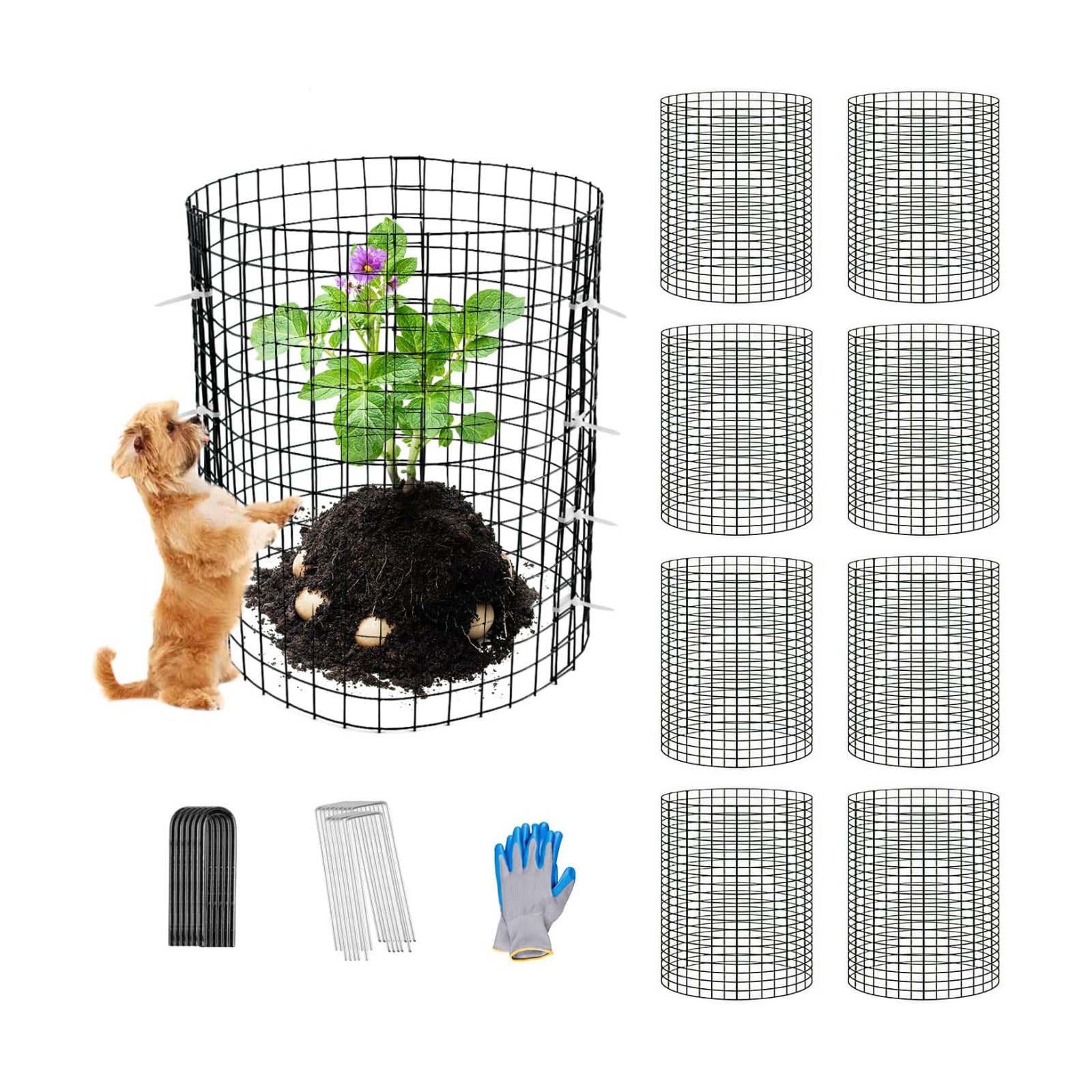 30 Pcs Plant Protectors from Animals,Protect Plants from Deer 10 Sets Metal Plant Cages Animal Intrusion Barrier Wire