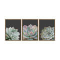 Zessonic Succulent Wall Art,Nature Plant Echeveria Wall Decor,12"x16"x3 | Nature Plant Echeveria Cactus Wall