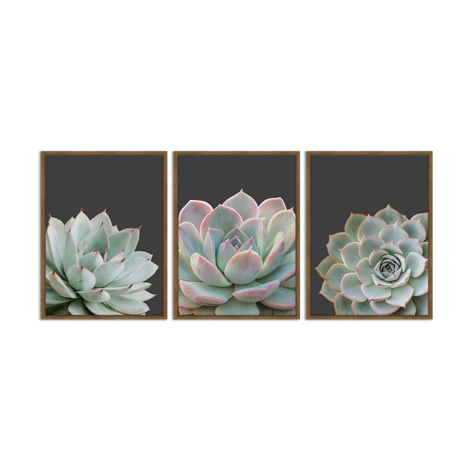 Zessonic Succulent Wall Art,Nature Plant Echeveria Wall Decor,12"x16"x3 | Nature Plant Echeveria Cactus Wall