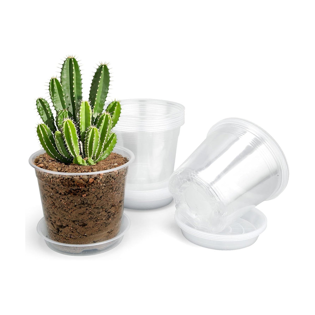 20 Pack 5 Inch Clear Nursery Pots with Drainage and Saucer, Clear Plastic Planter Pots for Plants, Flexible Seed Starting Pots for Succulents, Small Herbs, Annual Flowers (5 Inch)