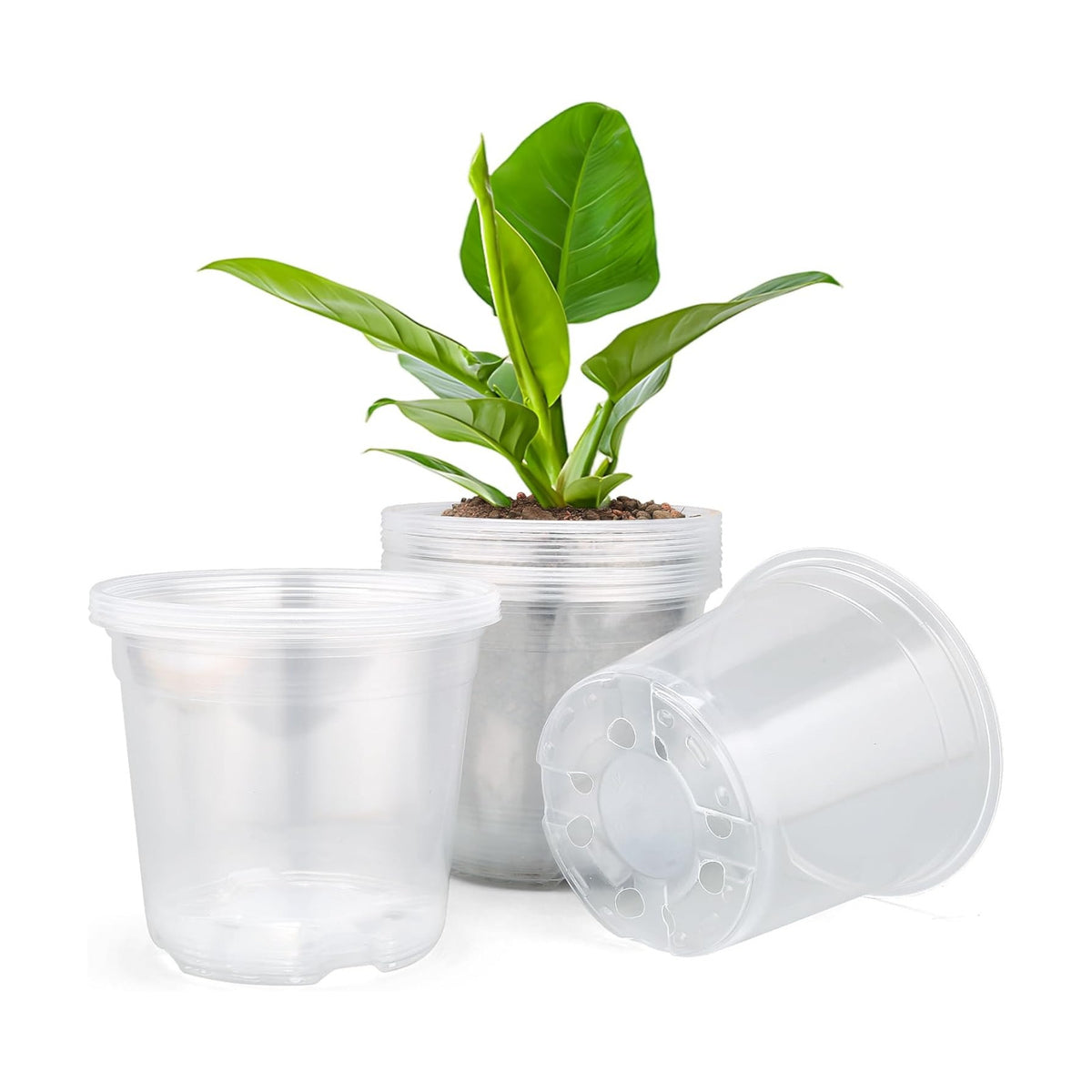 15 Pack Clear Nursery Pots with Drainage Holes, 6 Inch Seed Starting Plastic Plant Pots, Transparent Variety Pack Flexible Garden Pot for Outdoor Indoor (Clear, 6 Inch)