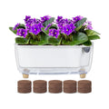 Oliz Self-Watering Planter with Coco Coir, Clear Modern Rectangular Pot