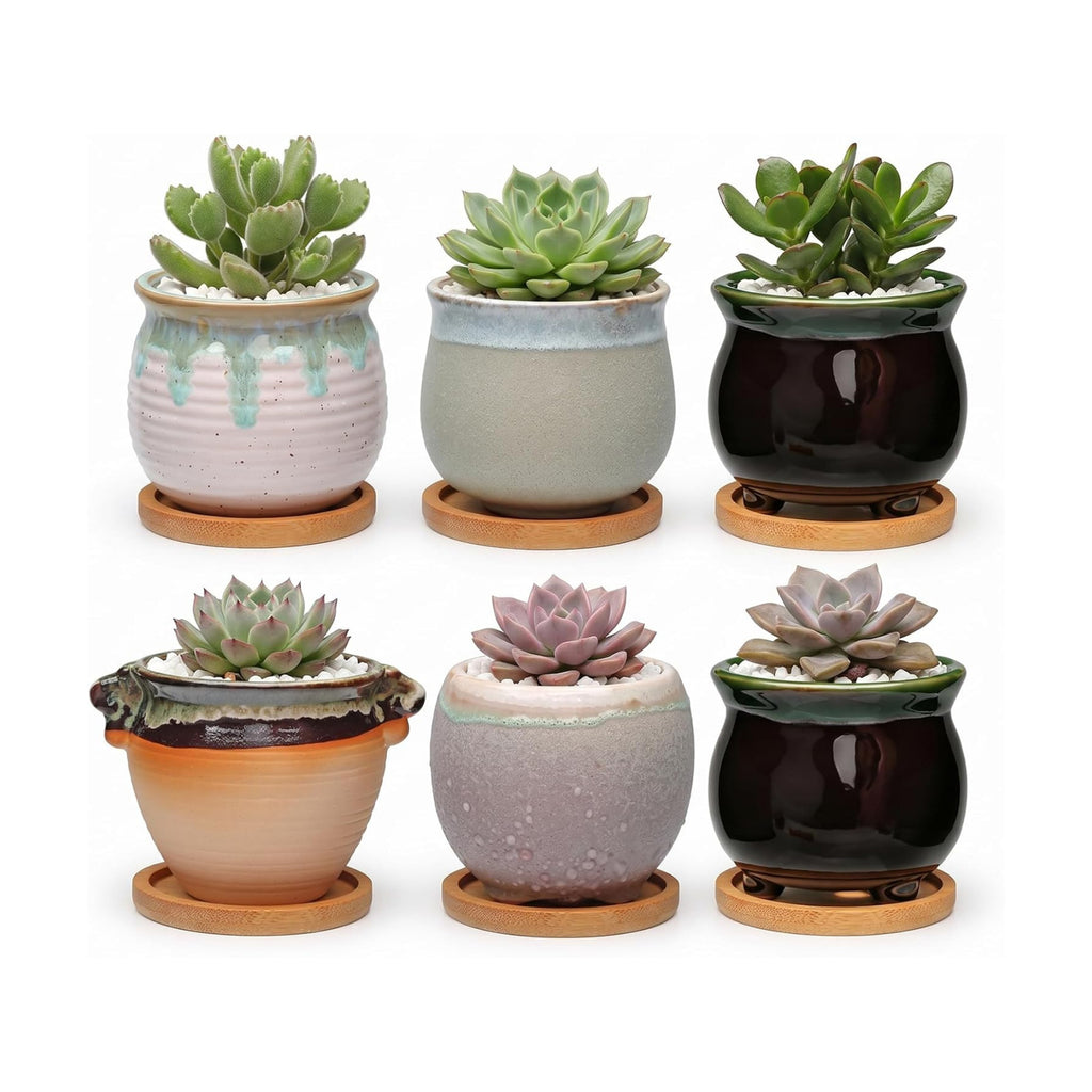 3.5 Inch Succulent Pot with Drainage,Planting/Flower Pots | Small Planter Pot for Mini Plant Ceramic Flowing Glaze Base