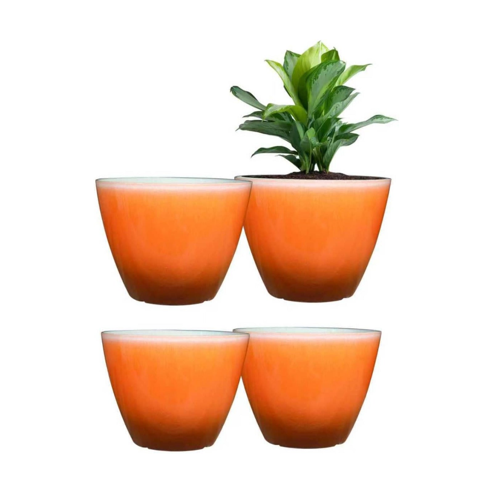 Vanslogreen Plant Pots for Indoor Outdoor Plants, Pack of 4 Plastic Flower Pots with Drainage Holes and Saucers, 8 Inch