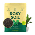 Rosy Soil Aroid Soil Mix, Chunky Biochar Potting Mix, 4 Quarts