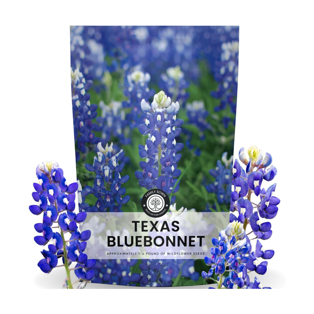 Texas Bluebonnet – 3,000 Seeds for Planting – 2026 Season – 4 Ounce Pouch