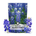 Texas Bluebonnet – 3,000 Seeds for Planting – 2026 Season – 4 Ounce Pouch
