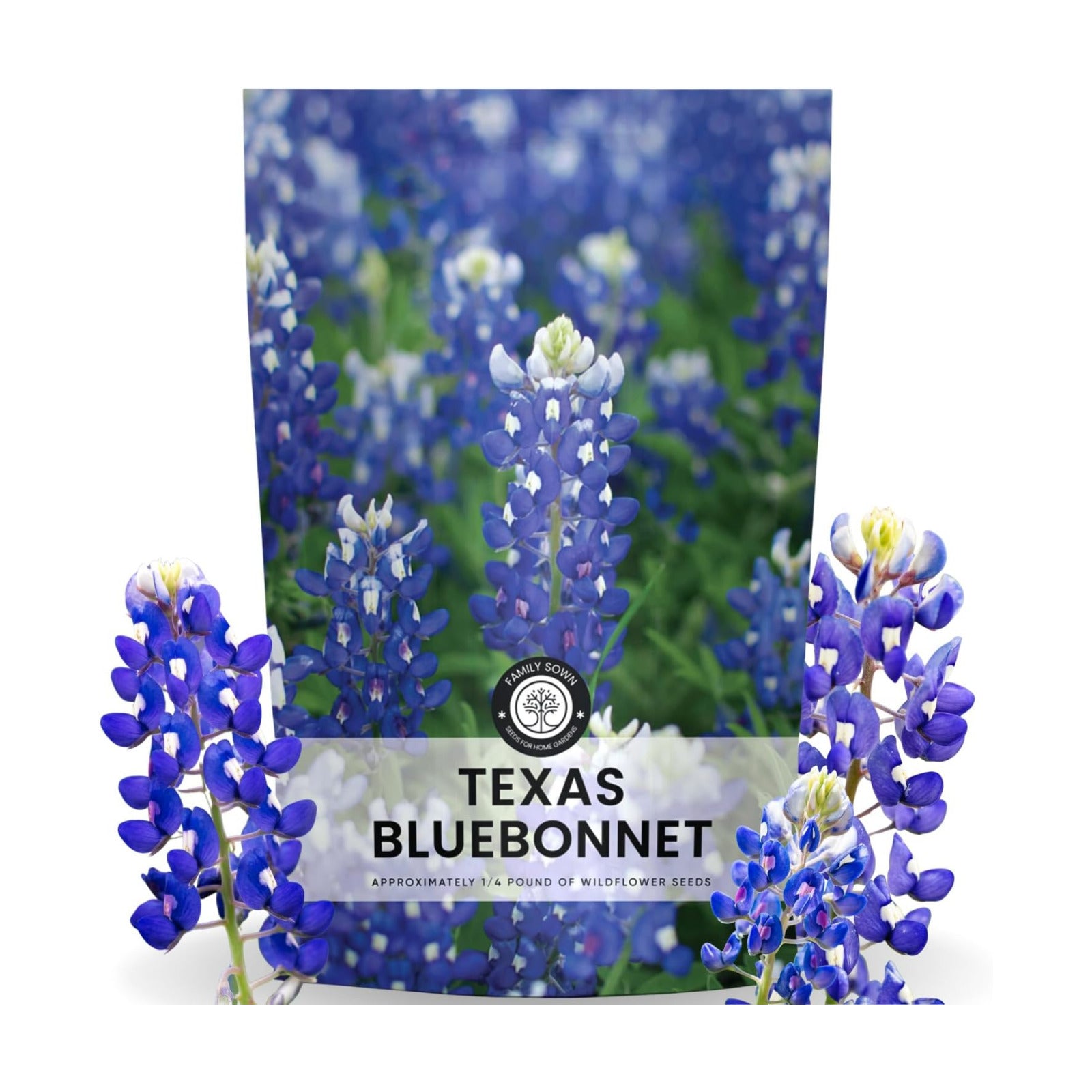 Texas Bluebonnet – 3,000 Seeds for Planting – 2026 Season – 4 Ounce Pouch