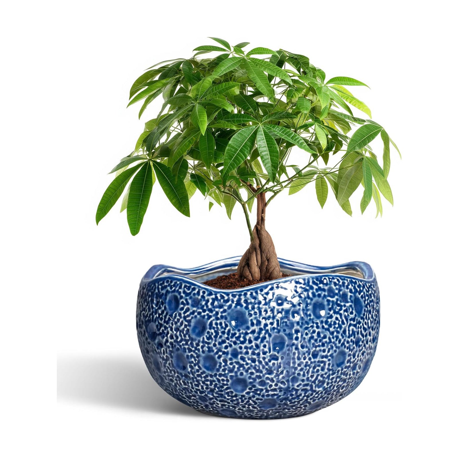 10 Inch Plant Pot - Ceramic Pots for Plants Indoor Outdoor, Round Bonsai Pots with Drainage Hole, Decorative Flower