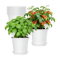 Oliz Planter Pots 8 Packs, 7.2 Inches Flower Pots with Drainage Holes & Trays, Ideal for Succulents, Herbs, Flower, African Violet, Garden Plant Pots for Home Garden Kitchen Decor (White-3)