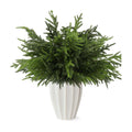 12Pcs 24 Inch Real Touch Norfolk Pine Stems, Artificial Green Plants Branches, Faux Greenery Pine Stem Fake Cedar Picks for Vase, Christmas Pine Branches for DIY Crafts Home Indoor Decor