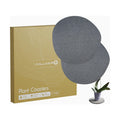 Stone Plant Saucer Set of 2 Large 11.5 in, Absorbent Diatomaceous Earth Plant Tray for Indoor Plants, Plant Pot Saucer