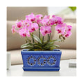 EFISPSS 10 Inch Orchid Pot, Ceramic Orchid Pots with Holes, Indoor Flower pots with Drainage and Saucer, Plant Pots Enhance Good Ventilation - Blue