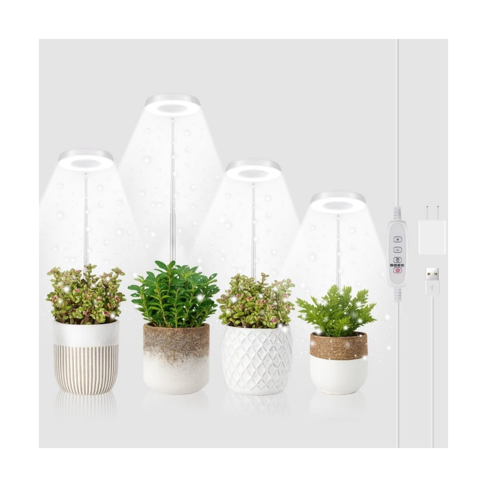 GYTF Halo Plant Grow Light, 6000K White LED Full Spectrum Growing Lamp for Indoor Plants, Succulents, Mini Bonsai