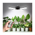 SANSI Grow Light for Indoor Large Plants, 80W High PPFD Dimmable, E26 Base | 4000K Full Spectrum, PPFD 720.9, Remote