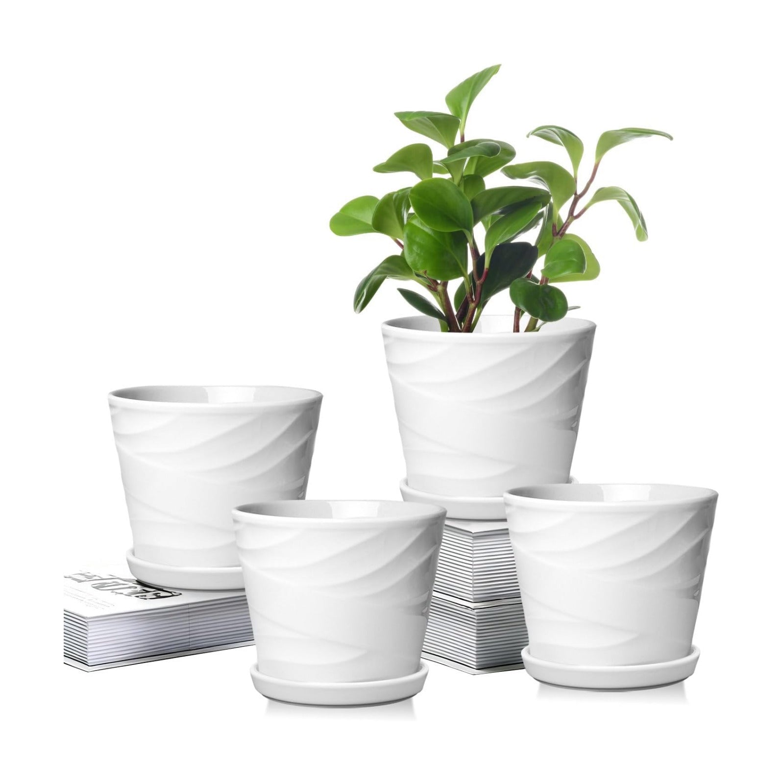 5 Inch Plant Pots,Ceramic Planter with Drainage and Saucer,Ceramic Pots for Plants,Planters for Indoor Plants,Ceramic