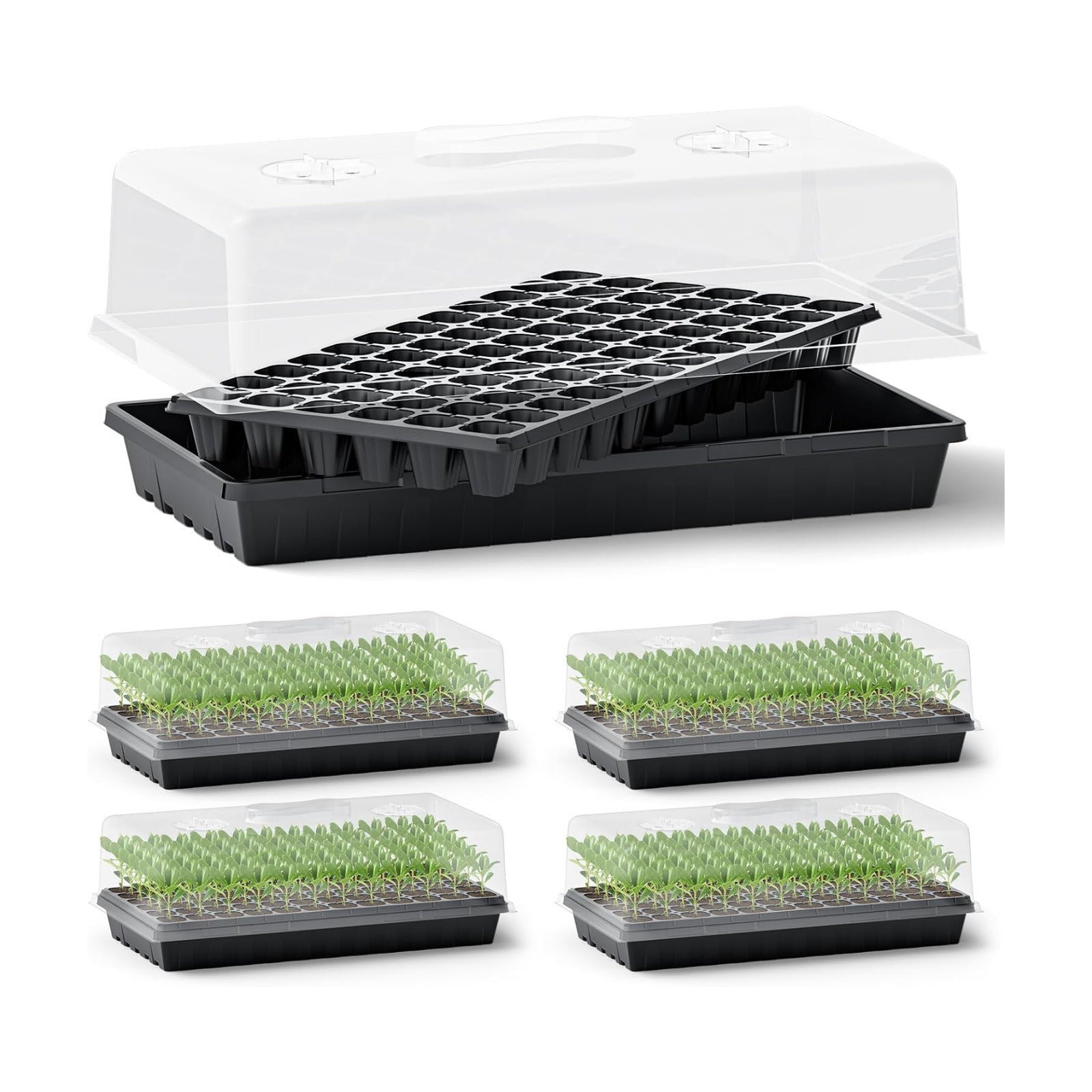 ZJP 5-Pack Seed Starter Trays Set – Includes 1020 Trays (No Holes) + 72-Cell Deep Plug Trays (2.44" Deep) + 5" Clear