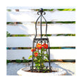 29.5" Obelisk Trellis for Indoor/Outdoor Potted Plants Support | Metal Trellis for Climbing Plants - Indoor/Outdoor