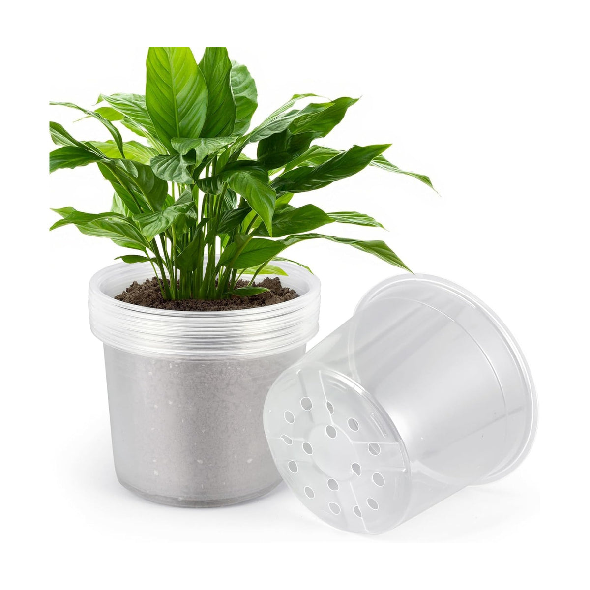 8 Inch Clear Nursery Pots with Drainage Holes, 10 Pack Large Plastic Pots for Plants, Seedling Starter Pot, Garden Plant Pots for Succulents Flowers Cactus