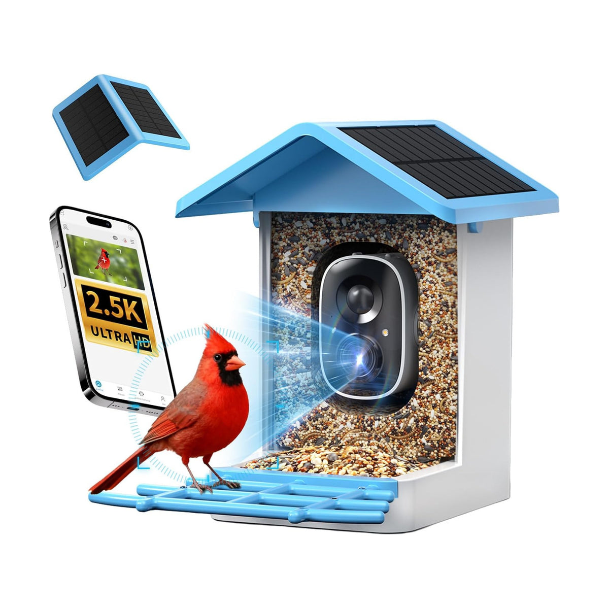 G11 Smart Bird Feeder with Camera, 2.5K, AI Bird ID, 5W Solar, Blue
