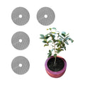 4 Pcs Plant Pot Grids – Adjustable Soil Cover for Indoor/Outdoor Plant Protection – Durable Mesh Guard to Keep Animals Away from Potted Plants