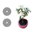 2 Pcs 11.81 Inchs Plant Pot Grids – Adjustable Soil Cover for Indoor/Outdoor Plant Protection – Durable Mesh Guard to Keep Animals Away from Potted Plants