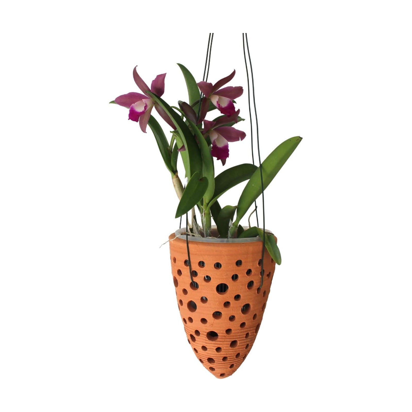 Terracotta Rocket Shaped Orchid Pot with Holes for Small Plants, Hanging Clay Orchid Planters for Outdoors